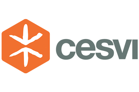 cesvi final